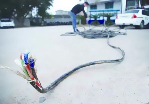 線纜行業(yè)“潛規(guī)則”：‘非標(biāo)’電線電纜，實(shí)質(zhì)上就是假冒偽劣產(chǎn)品！ 